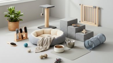 Чотирилапі члени родини: як адаптувати дім для комфортного життя з улюбленцем