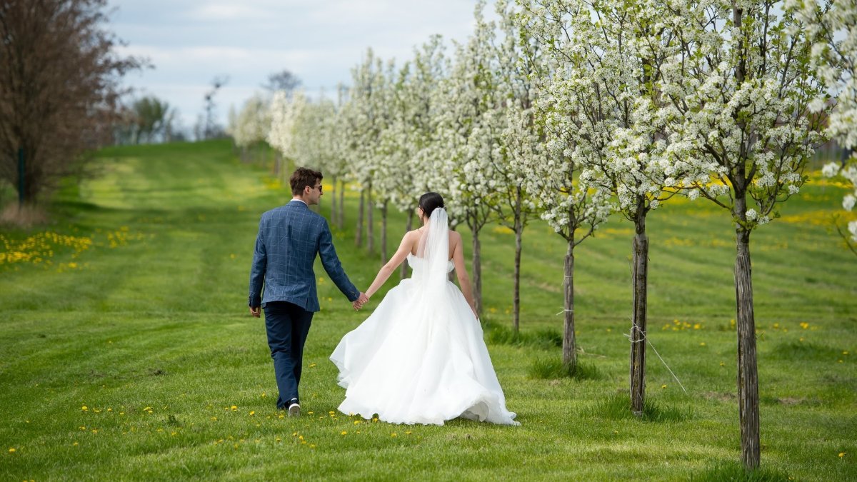 сниться весілля