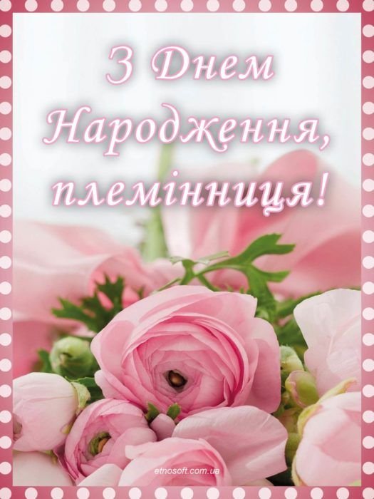 вітання з днем народження племінниці від тітки