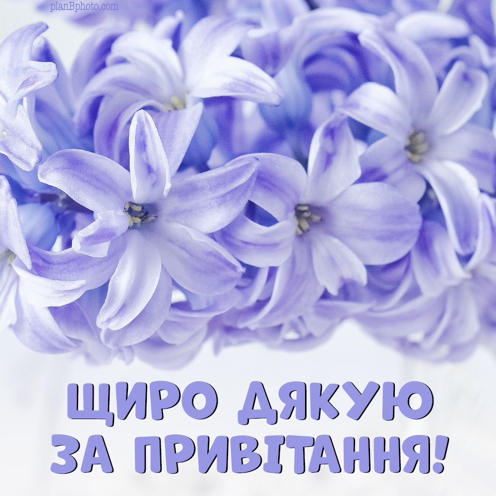 як подякувати за привітання